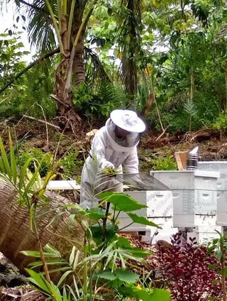 00f68ff1-be74-4d35-b23e-e6f2d0a7e82e_JPG