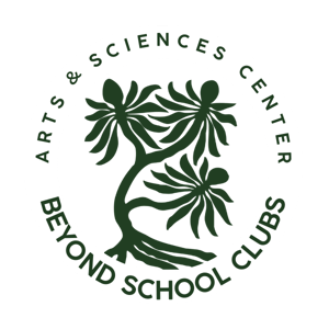 BSC LOGO (3)