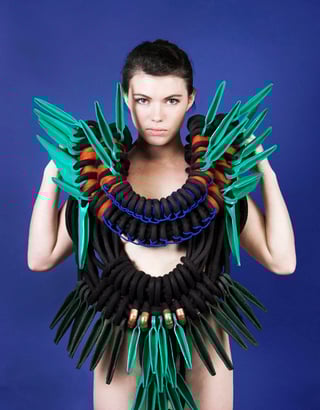 birdofparadiseresize